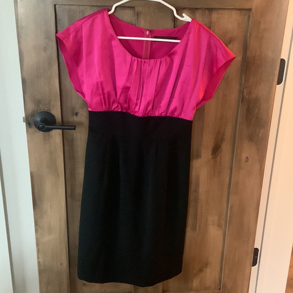 The Limited Dress - Picture 9 of 11